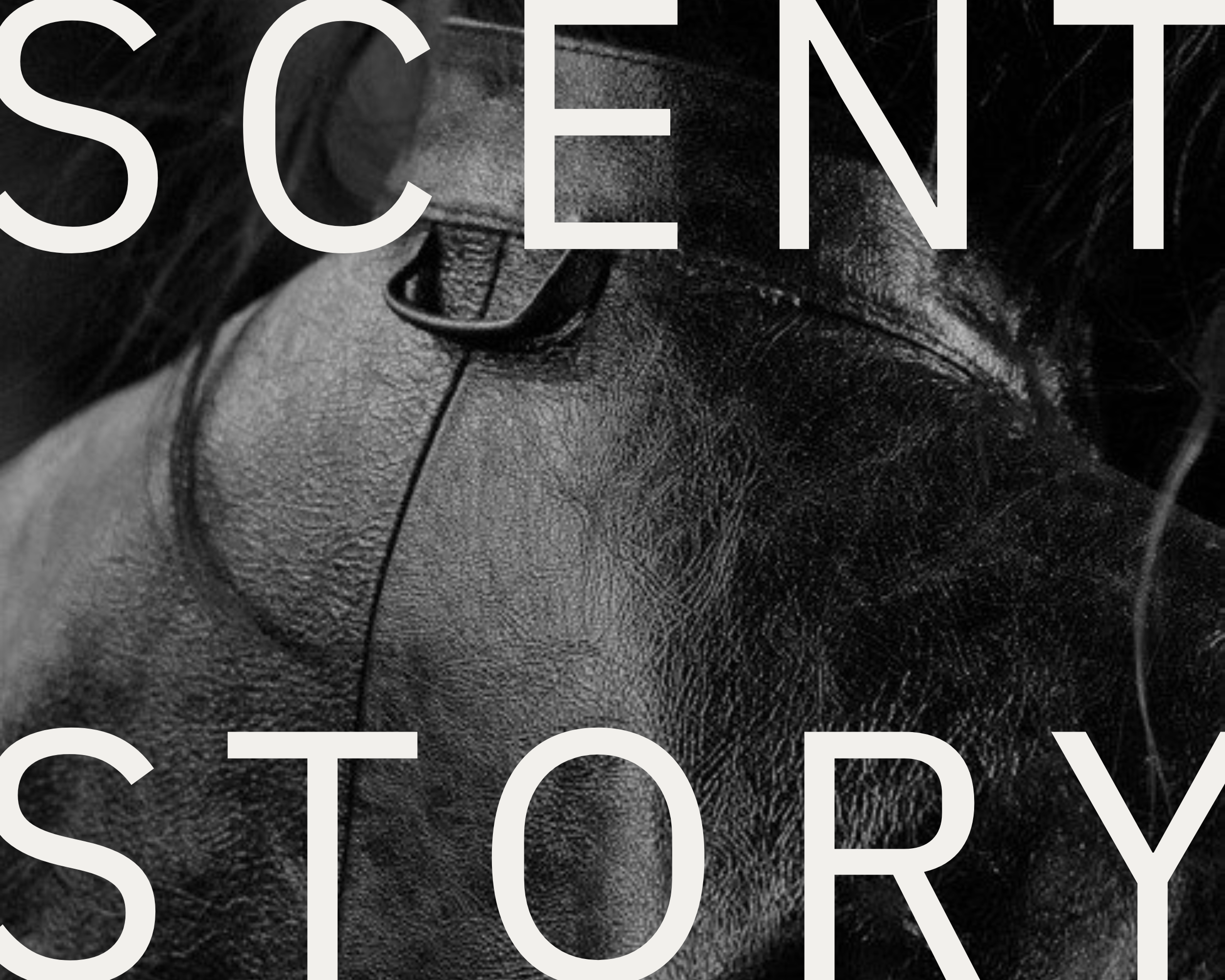 Scent Story Image