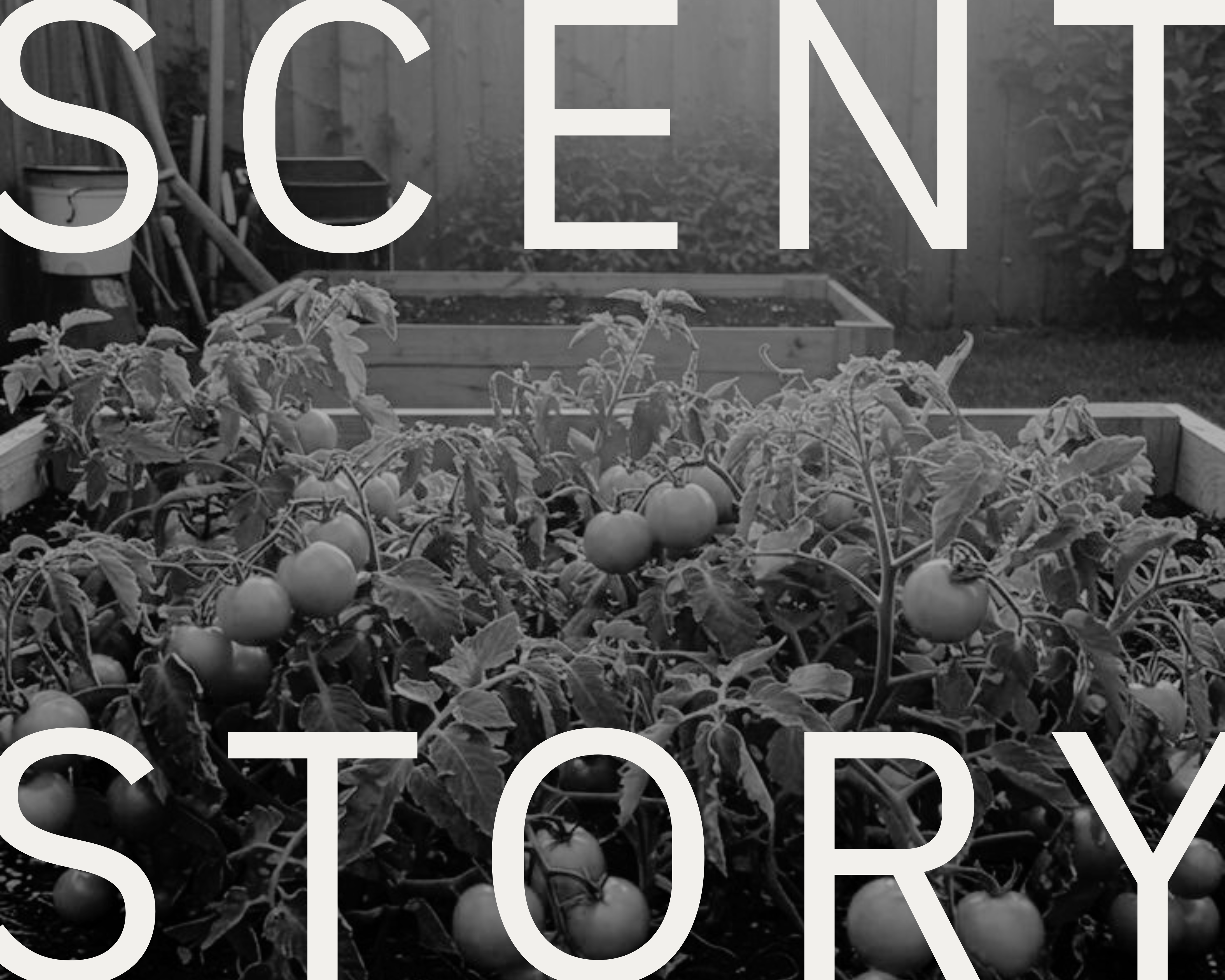 Scent Story Image