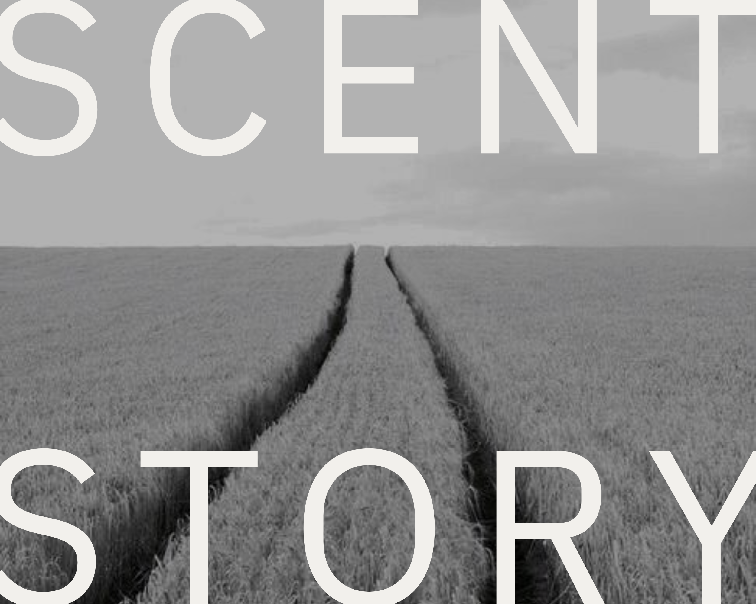 Scent Story Image