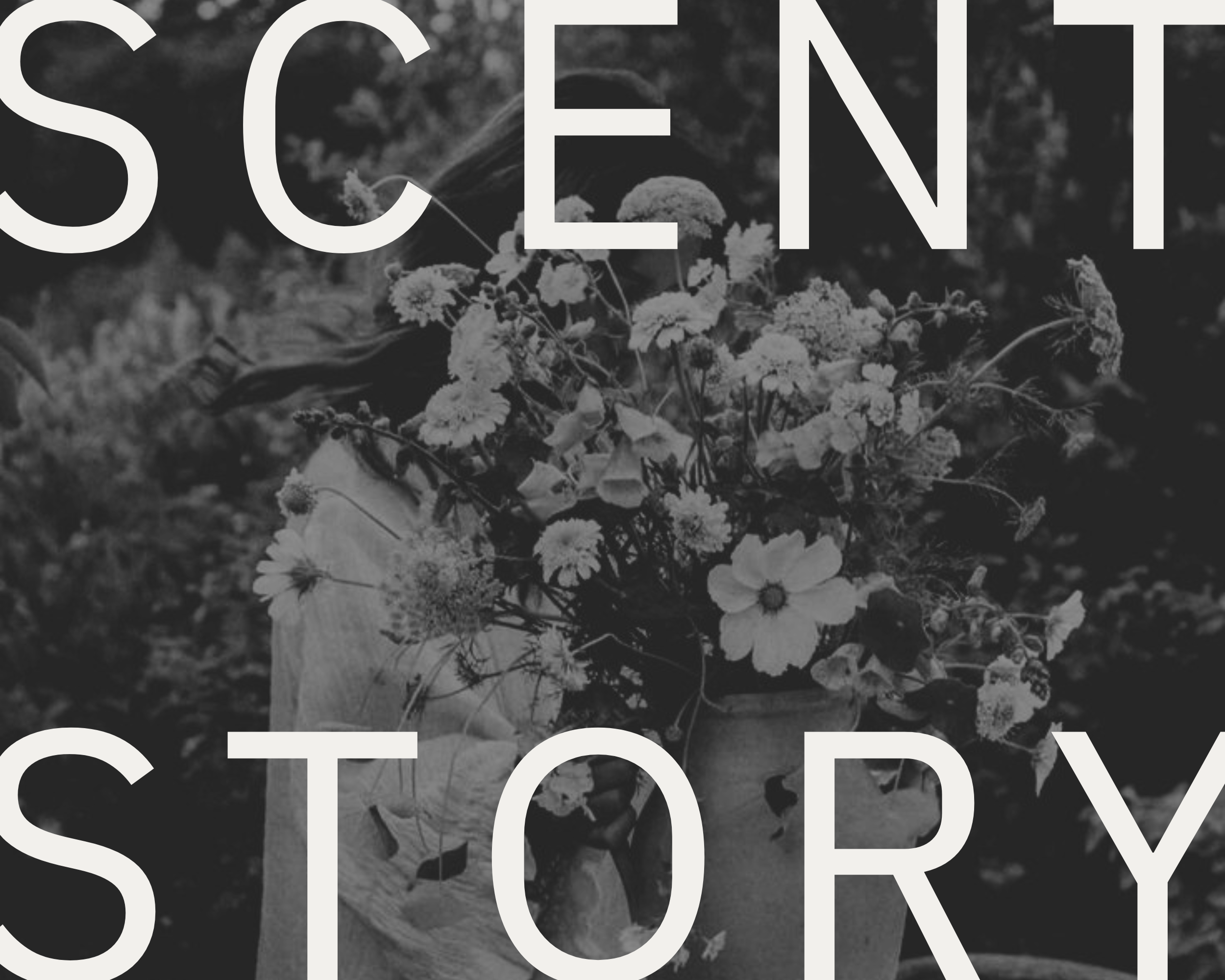 Scent Story Image
