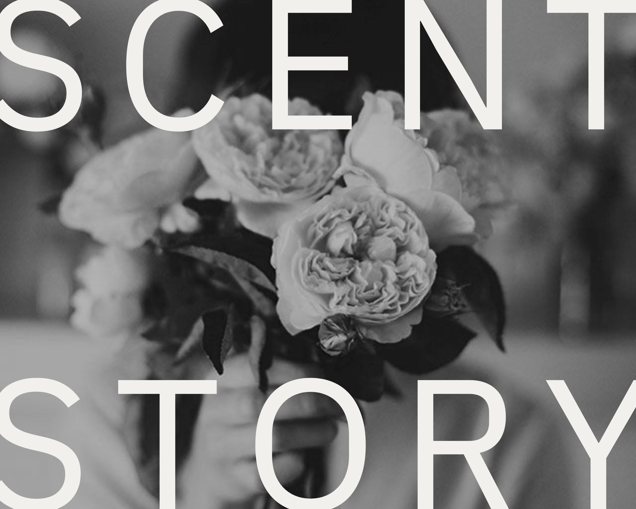 Scent Story Image