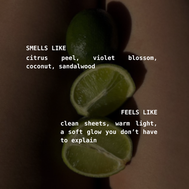 Goldie fragrance notes by Not Frankie featuring citrus peel, violet blossom, coconut and sandalwood. A bright, fresh candle that creates a clean, sunlit atmosphere with soft warmth and subtle floral notes.