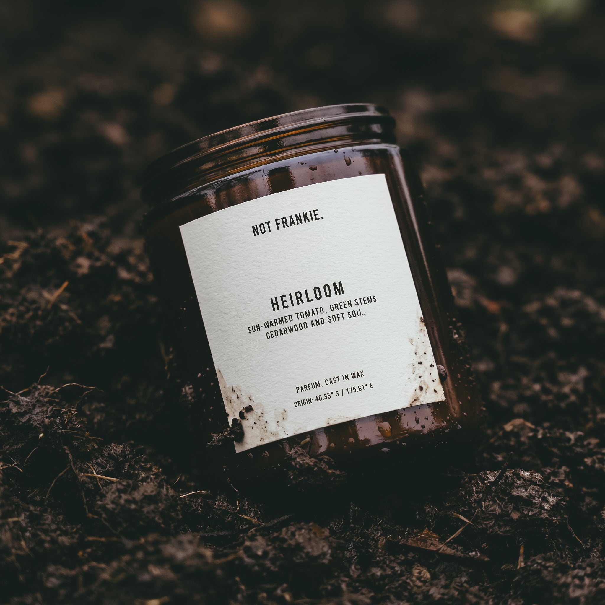 Scent Story Image